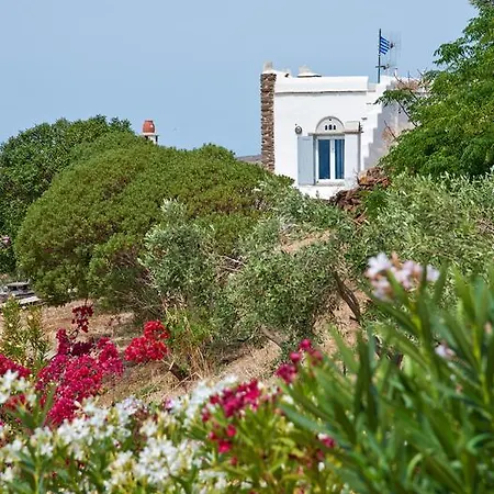 Aenaos Tinos *