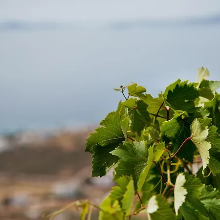 Villa Aenaos Tinos