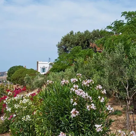 Villa Aenaos Tinos *